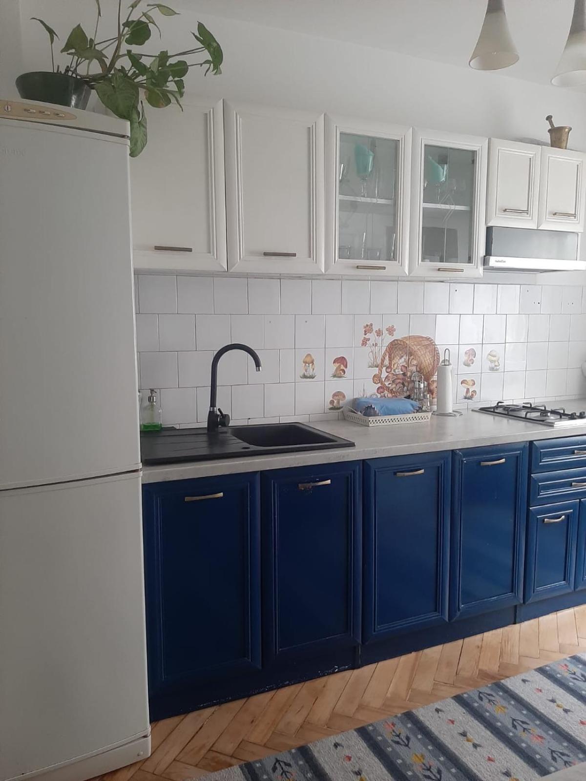 Mari&Vio Apartment Клуж-Напока Экстерьер фото